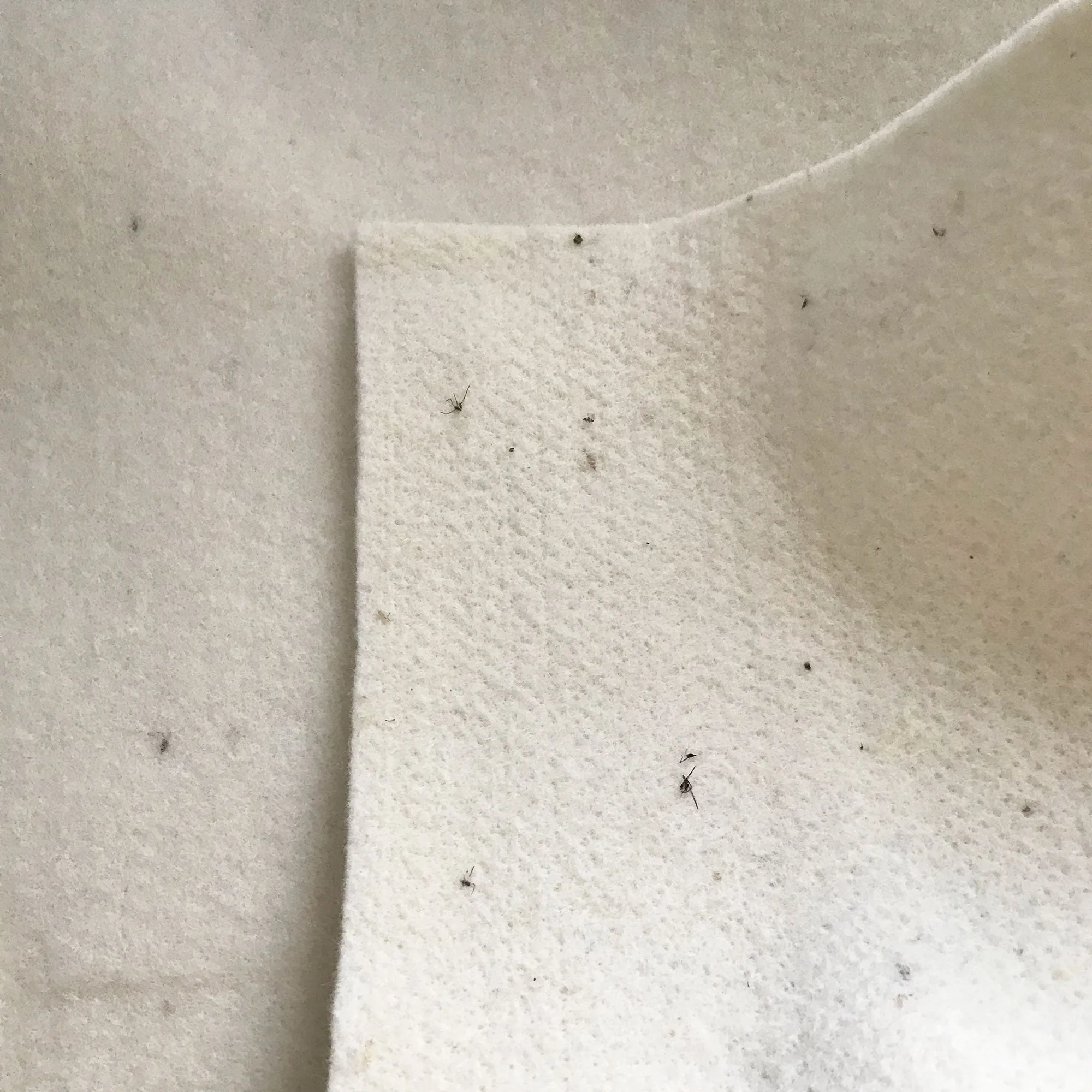 Organic Wool Puddle Pad - Futon or Mattress Protector