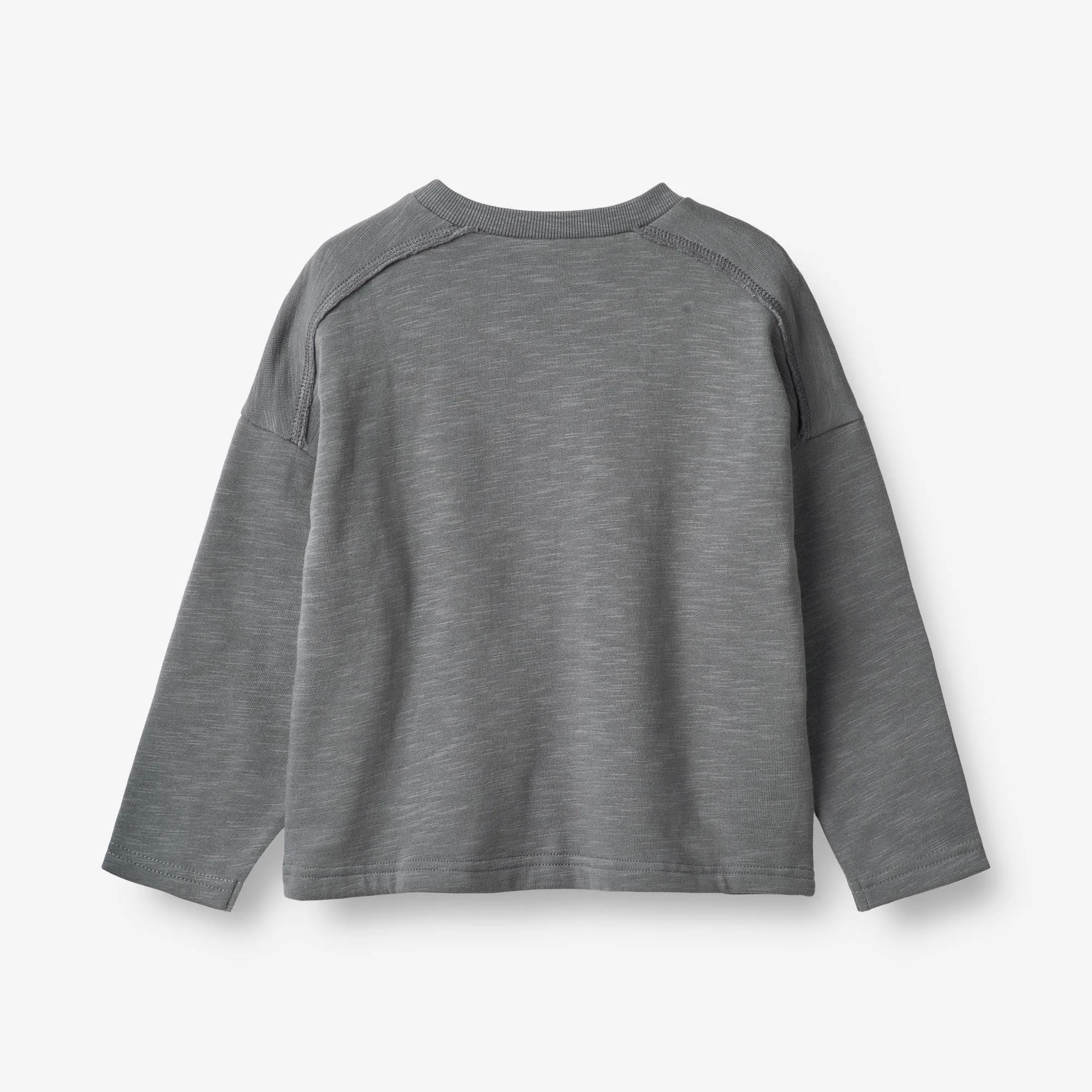 Sweatshirt Curt - autumn sky